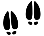 Jelonkowo